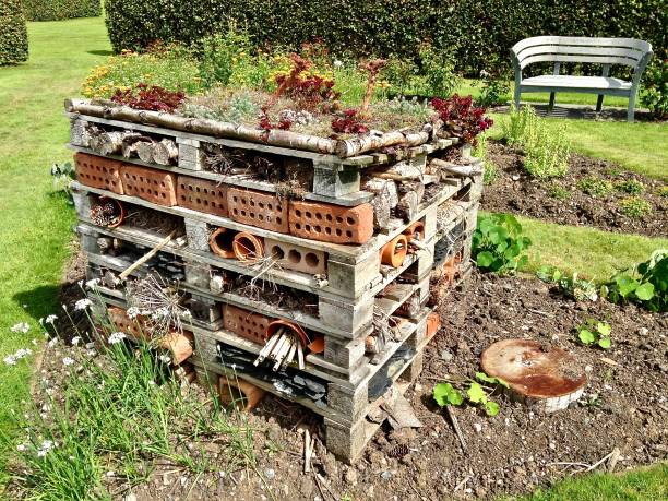Bugs' Delight 11th august 2018, Isle ofBute, Scotland, UK.  A bug hotel stands ready to welcome any number of insect guests, from butterflies, solitary bees and leaf cuter bees, to moths and spiders of all kinds. mcdermp stock pictures, royalty-free photos & images