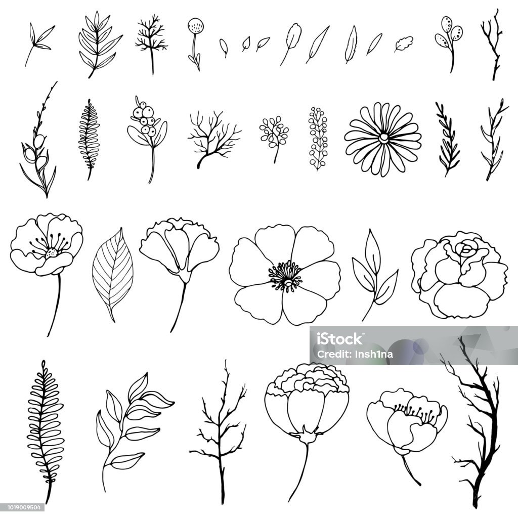 Ilustración de Conjunto De Garabatos Sencillos De Flores Y Ramas y más Vectores Libres de Derechos de Flor - Flor, Dibujar, Diseño de trazado - iStock Ilustración de Conjunto De Garabatos Sencillos De Flores Y Ramas y más Vectores Libres de Derechos de Flor - Flor, Dibujar, Diseño de trazado - iStock