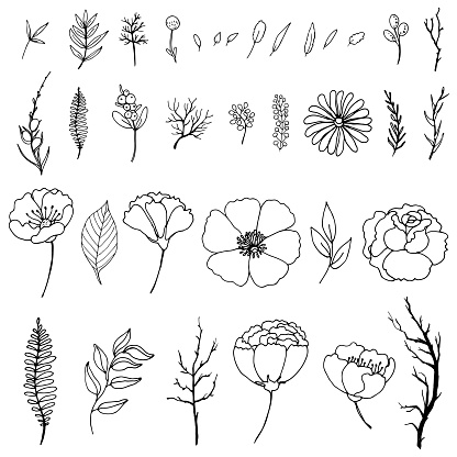 Set of simple doodles of flowers and twigs