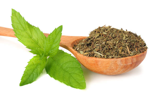 istock Fresh mint leaves with dried mint leaves isolated on white background 1019011912