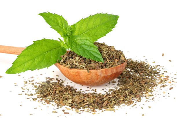 istock Fresh mint leaves with dried mint leaves isolated on white background 1019011922