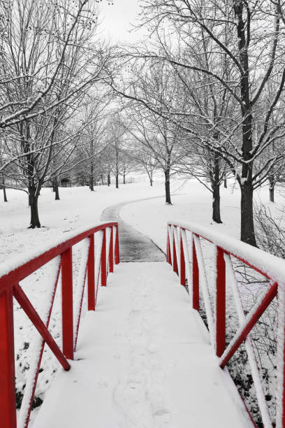 istock Red Footbridge on Snowy, Winter Day 1019012738