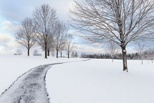 Footpath through snow covered park and trees in winter.