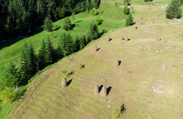 aerial view of hay stacks in romania - romanian hay imagens e fotografias de stock