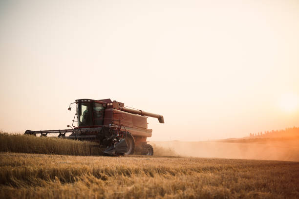 istock Combine Harvester Working Idaho Wheat Field 1019017306