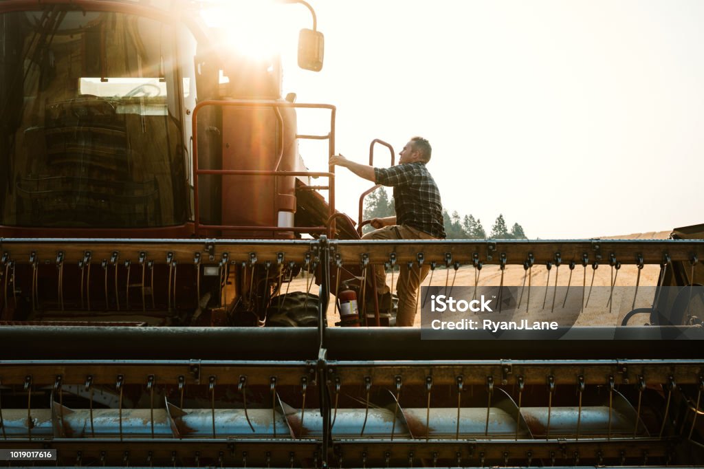 Farmer Climbing In To Combine Harvester In Idaho Wheat Field A farmer climbs up the ladder into his large combine grain harvester, ready to start a long day of work. The morning sun rises just behind him.  Shot in Worley, Idaho, USA. Farmer Stock Photo