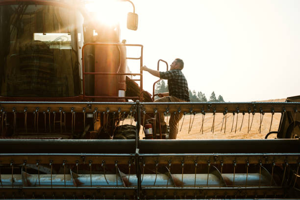 Farmer Climbing In To Combine Harvester In Idaho Wheat Field A farmer climbs up the ladder into his large combine grain harvester, ready to start a long day of work. The morning sun rises just behind him.  Shot in Worley, Idaho, USA. combine harvester stock pictures, royalty-free photos & images