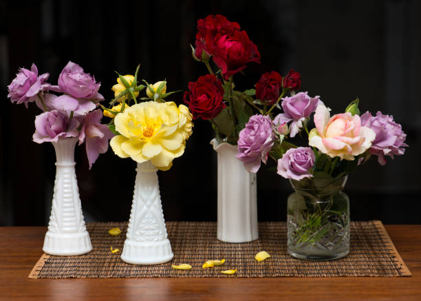 Rose in antique vase