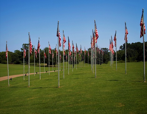 Field of flags in Florence, Alabama.