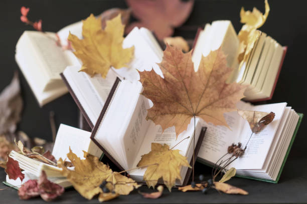 istock Abstract blurred open books and autumn fallen leaves, selective focus. Vintage, rustic still life. Autumn concept of reading time, romantic 1019022896