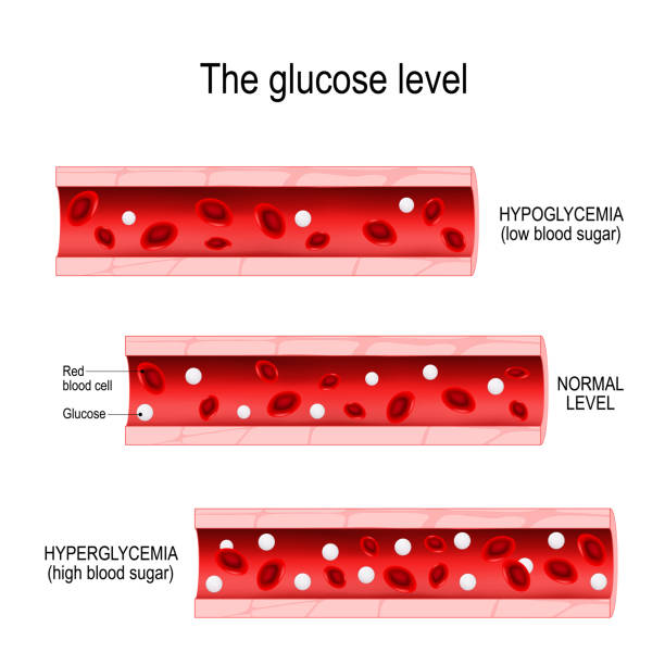 ilustraciones, imágenes clip art, dibujos animados e iconos de stock de glucosa en el vaso sanguíneo - glucosa