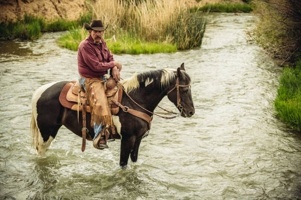 istock Utah Cowboy riding across the river 1019031476