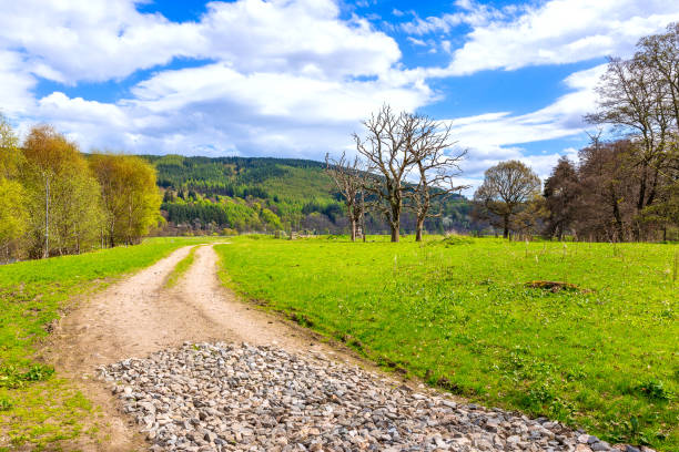 istock Sand road along the river spey near Rothes 1019037088