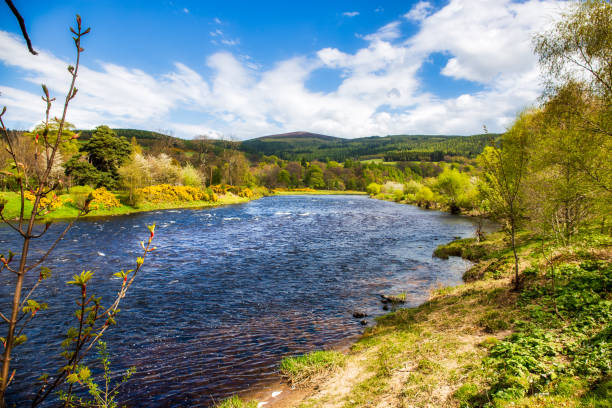 River Spey near Rothes The River Spey near the village Rothes moray firth stock pictures, royalty-free photos & images
