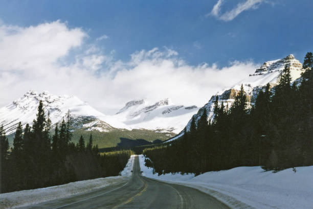 istock Icefield Parkway road in Alberta mountains 1019043768