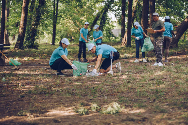 istock Busy volunteers cleaning 1019058378