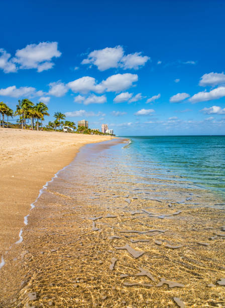 Fort Lauderdale, Florida, USA coastline