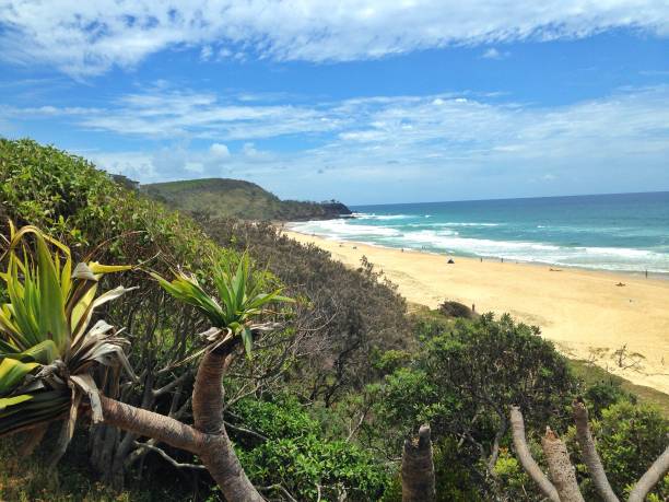istock Sunshine Beach, Sunshine Coast 2015 1019066724