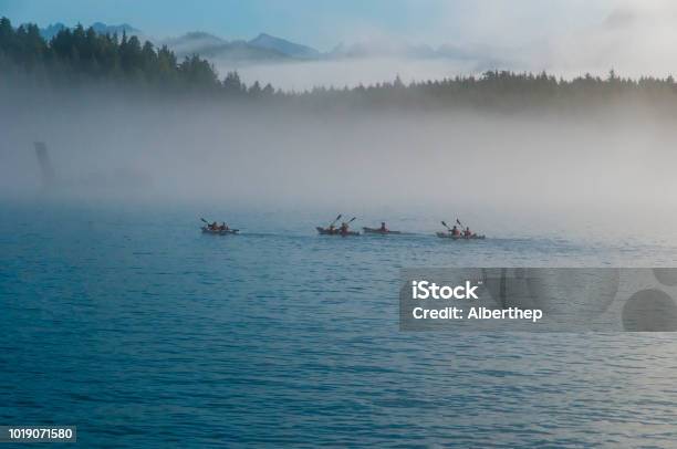 Sea Fog Stock Photo - Download Image Now - Canada, Condensation, Fog