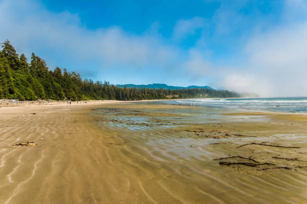 istock Pacific Rim National Park 1019071610