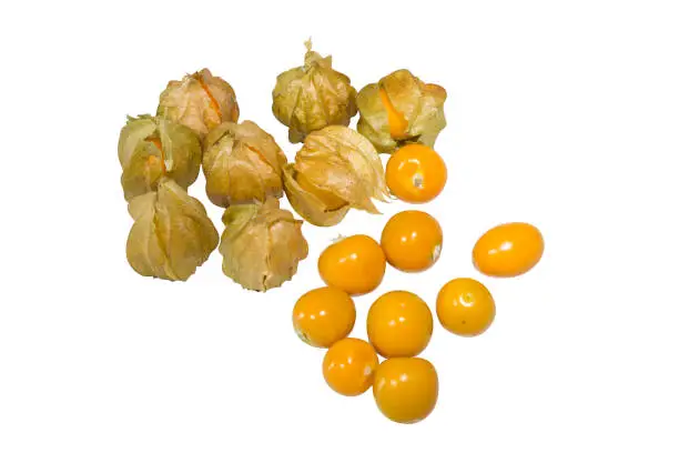 The Sour Fruit , Cape gooseberry is very good for health.