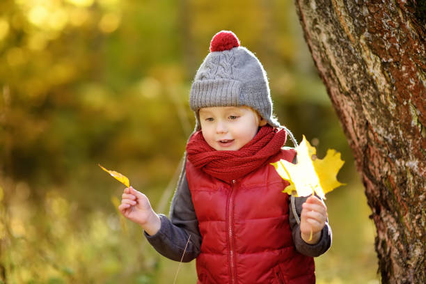 kleiner junge beim spaziergang im wald am sonnigen herbsttag - 6729 stock-fotos und bilder