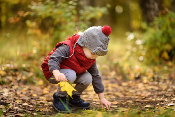 Little boy during stroll in the forest at sunny autumn day. Active family time on nature. Hiking with little kids