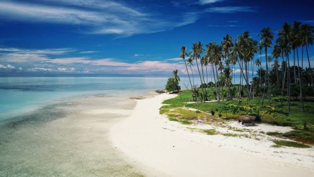 dentre as praias de areia branca das ilhas tropicais ao redor de sabah, bornéu, malásia - sipadan island - fotografias e filmes do acervo