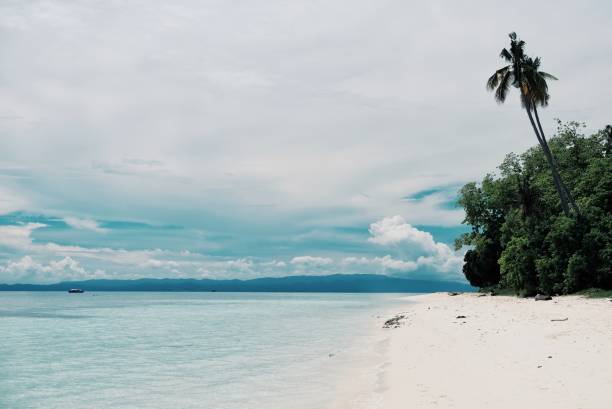 dentre as praias de areia branca das ilhas tropicais ao redor de sabah, bornéu, malásia - sipadan island - fotografias e filmes do acervo