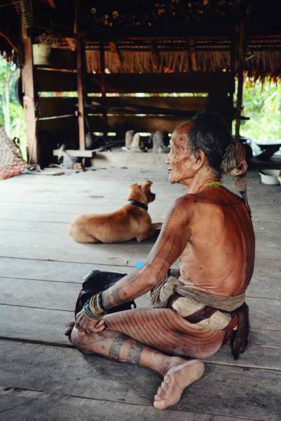 Muara Siberut, Mentawai Islands / Indonesia - Aug 15 2017: Tribal elder and shaman presenting his protective tattoos which according to their belief will repel any bad spirits Muara Siberut, Mentawai Islands / Indonesia - Aug 15 2017: Tribal elder and shaman presenting his protective tattoos which according to their belief will repel any bad spirits shoulder tribal tattoos for men stock pictures, royalty-free photos & images