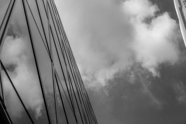 istock Modern office building close up with B&W color 1019110020
