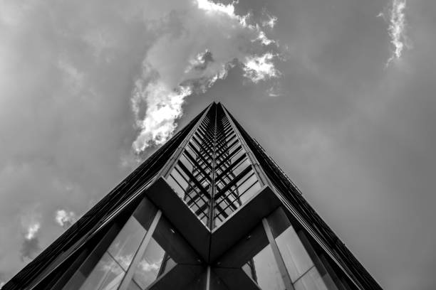 istock Modern office building close up with B&W color 1019110198