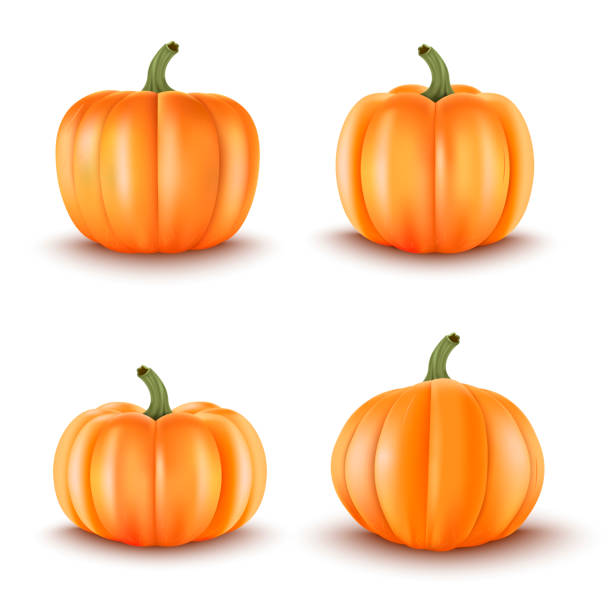 ilustraciones, imágenes clip art, dibujos animados e iconos de stock de conjunto de 4 decoración realista pumpkins.halloween. ilustración de vector - calabaza gigante ilustraciones