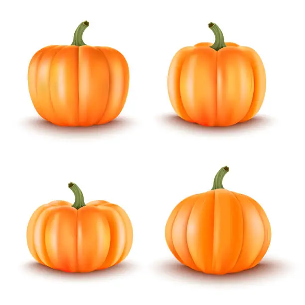 Vector illustration of Set of 4 Realistic Pumpkins.Halloween decoration.Vector illustration