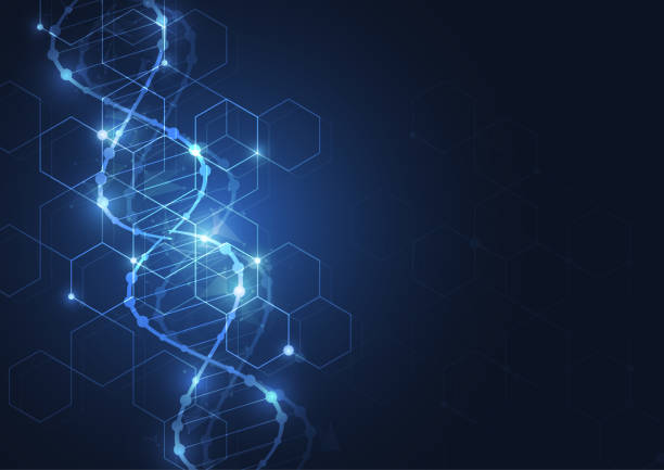 Science template, wallpaper or banner with a DNA molecules. Science template, wallpaper or banner with a DNA molecules. lifestyle stock illustrations