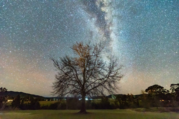 istock The Milky Way and Winter Tree 1019134150