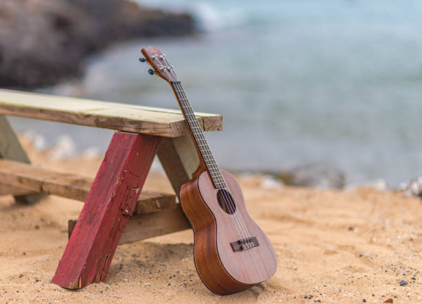 istock Ukelele and Wooden Bench on Sandy Beach 1019134504