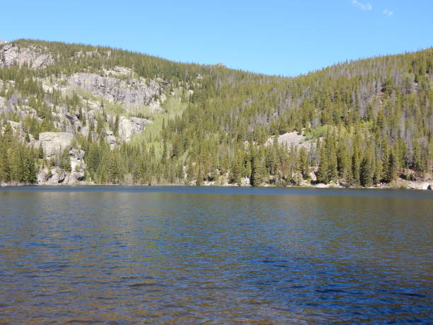 istock Lake View with Pine Forest and Mountain Peak in Background 1019139218