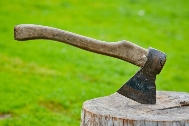 istock The old axe in the chopping block 1019149294