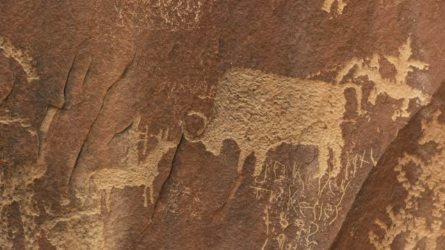 close up of a bison hunting scene on newspaper rock, utah