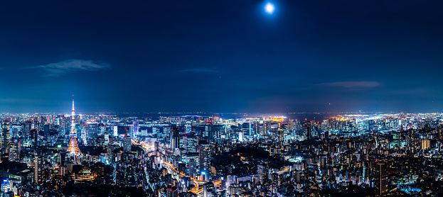 Tokyo cityscape. Panorama view.