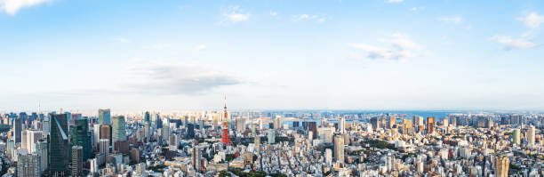 istock Tokyo cityscape. Panorama view. 1019164390