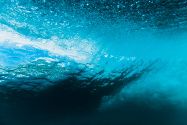 istock Breaking barrel wave is underwater. Ocean in underwater 1019197428