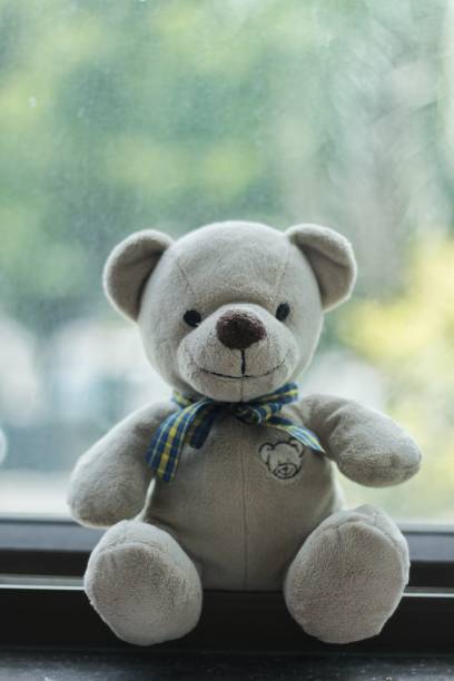 istock The teddy bear put near the window 1019199618