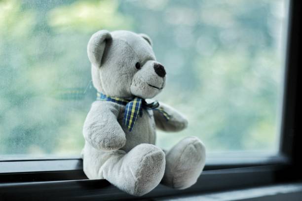 istock The teddy bear put near window 1019199624