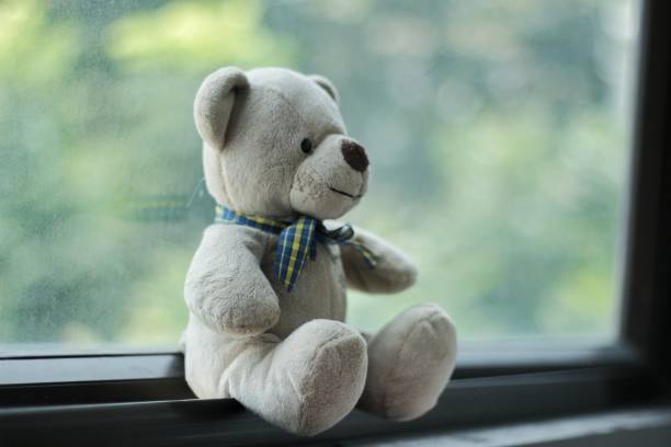 istock The teddy bear put near window 1019199632