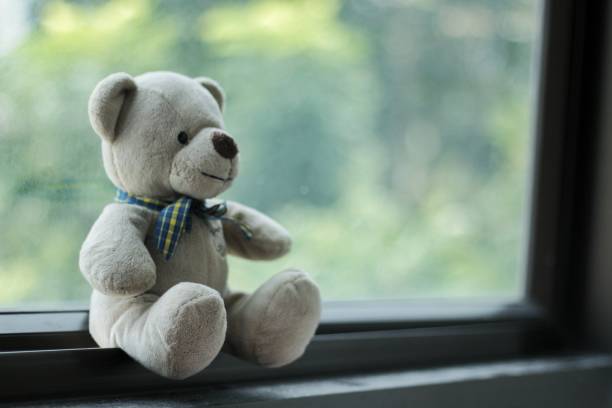 istock The teddy bear put near window 1019199636