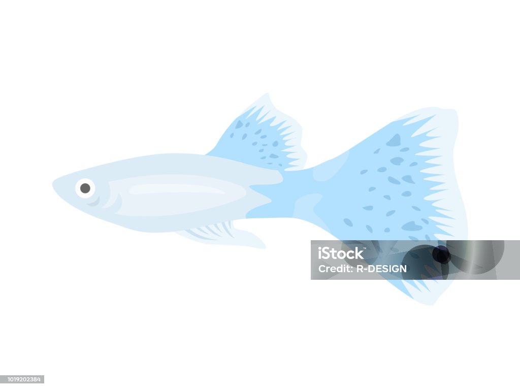 tropical fish Animal stock vector