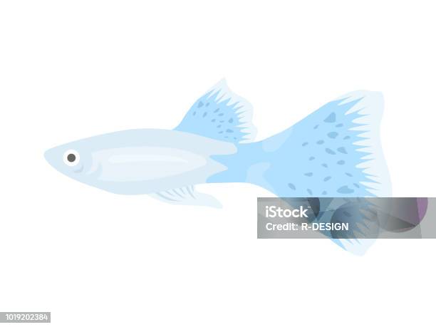 Tropical Fish Stock Illustration - Download Image Now - Animal, Animal Wildlife, Animals In The Wild