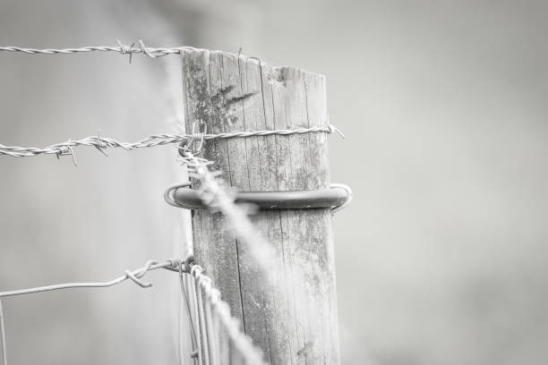 istock Corner Wooden Fence Post with Barbed Wire in a Pasture 1019208518